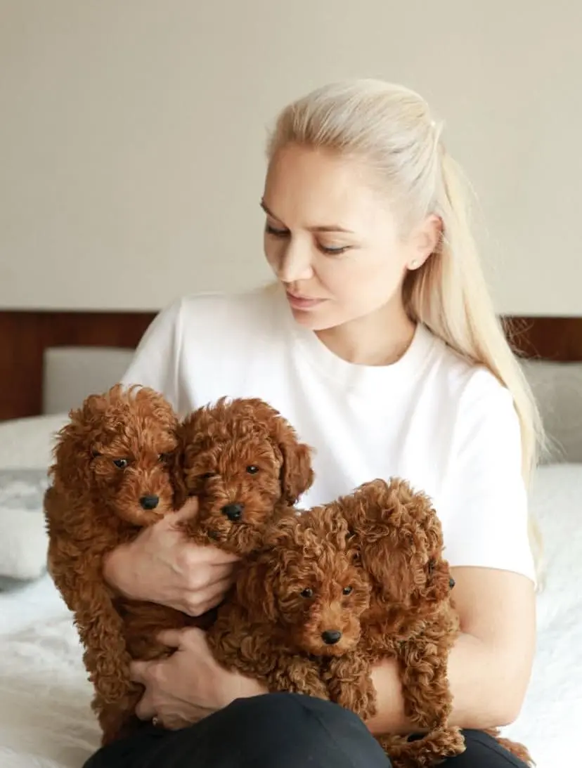 {{brizy_dc_image_alt imageSrc=